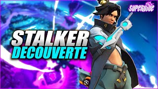 SUPERVIVE PRÉSENTATION DE STALKER COMBATANT ► GUIDE POUR BIEN DÉBUTER [upl. by Retrac]