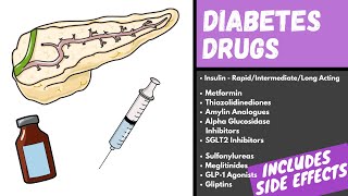 Diabetes Medication Explained  Diabetes Drugs Mechanism Side Effects and Classification [upl. by Beltran]