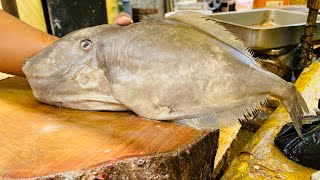 Huge leather jacket fish cutting  indore fish market [upl. by Ferrand]