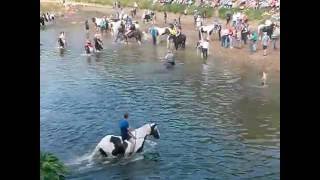 APPLEBY FAIR 2016 horses in the Eden [upl. by Theobald]