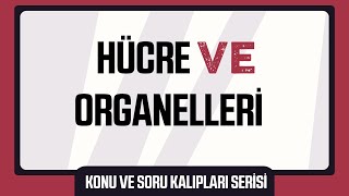 Hücre ve Organelleri Konu ve Soru Kalıpları Serisi [upl. by Atterol26]