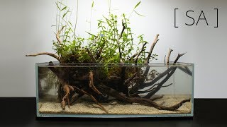 Wabi Kusa Nano Pond  No Filtration No Co2 No Ferts [upl. by Arytas]