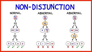 Chromosomal Abnormalities Aneuploidy and NonDisjunction [upl. by Motch]