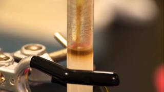 Anion Exchange Chromatography  separating haemoglobin and catalase [upl. by Enalb]