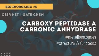 Carboxy peptidase A  carbonic anhydrase  bioinorganic Chemicos academy [upl. by Sashenka]