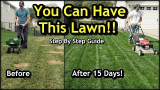 Fix an Ugly Lawn with Overseeding  Complete Step by Step Guide For Beginners [upl. by Emiaj]