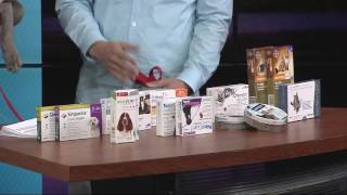 Best flea and tick medications for your dog [upl. by Aicnorev]