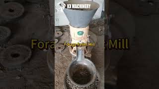 Forage Pellet Mill  biomass feed pellet machine for grass corn rice straw hemp soybean rice husk [upl. by Devaney]