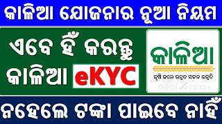 Kalia Yojana eKYC Aadhaar Authentication Complete Process Online  Odisha Kalia e kyc New Update [upl. by Margy251]