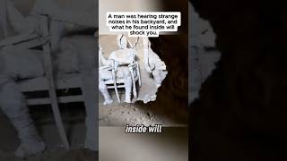 Man was hearing strange noises in his backyard youtubeshorts shorts shortfeed viralvideo viral [upl. by Nikral12]