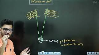 L1 Root amp its Modifications  Morphology in Flowering Plants  11th Class Biology ft Hyperbiologist [upl. by Elatia]