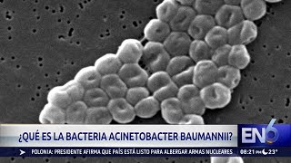 ACINETOBACTER [upl. by Negriv]