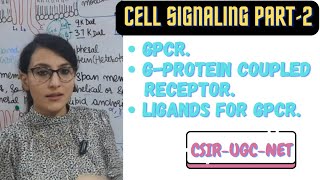 GProtein Coupled Receptor  GPCR Cell Signaling [upl. by Ettegdirb]