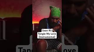 Sean Rii Karyon Sharzkii  Taungule My Love INSTRUMENTAL [upl. by Ahtar987]