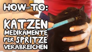 HowTo Katze Medikament mit Spritze geben zB bei Niereninsuffizienz  Diabetes [upl. by Devinne]