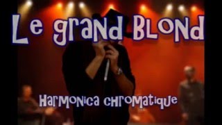 Sirba  Le grand blond  Harmonica chromatique [upl. by Oned616]