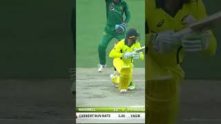 Australia All Fall of Wickets Against Pakistan Bowlers PAKvAUS SportsCentral Shorts PCB M7C2K [upl. by Shirleen385]