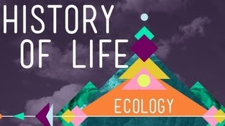 The History of Life on Earth  Crash Course Ecology 1 [upl. by Radloff]