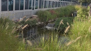 Woodmere Middle Schools Center Greenhouse Pond [upl. by Ailisab]