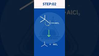 friedel crafts alkylation mechanism  Organic Chemistry 2 friedel crafts alkylation reaction [upl. by Hairom886]