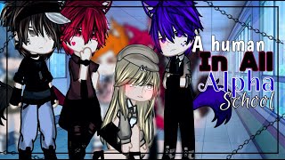 ⚡The Powerful Hybrid In An All Wolf School⚡Gacha Life Mini Movie  GLMM  INSPIRED [upl. by Groeg]