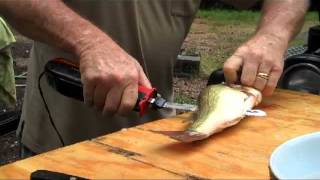 Filleting Fish with an Electric Knife [upl. by Beckman]