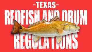 Redfish Fishing Regulations in Texas 2022  Texas Fishing Regulations [upl. by Noislla]