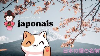 Sakura  😸ou Toro  Je donne un nom japonais à mon chat 😸 [upl. by Abad]