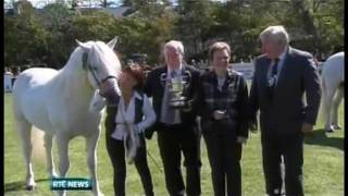 The 2011 Connemara Pony Show Clifden Ireland [upl. by Laddie]