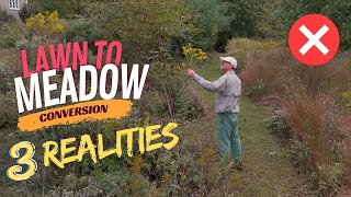 What I Wish I Knew BEFORE PLANTING My Wildflower Meadow 3 Key Insights [upl. by Ewald318]