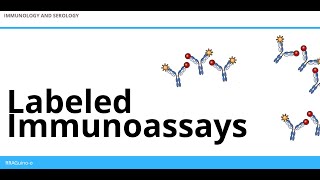 Labeled Immunoassays  An Overview [upl. by Kcirddot424]