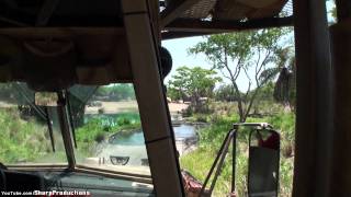 Kilimanjaro Safari at Walt Disney Worlds Animal Kingdom [upl. by Eralcyram448]