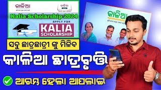 Kalia Scholarship 2024 Apply  Kalia Scholarship Online Apply Step by Step [upl. by Atilamrac]