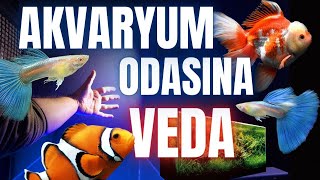 AKVARYUM ODASI VEDA  HER ŞEYİ KALDIRDIM akvaryum lepistes akvaryumbalıkları vlog petshop [upl. by Nara]