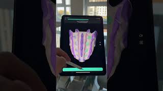 Flashcards and 3Dquizzes on Human Anatomy App Easy Anatomy anatomy medschool usmle [upl. by Lulu]