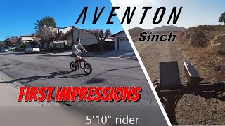 AVENTON SINCH review FIRST IMPRESSIONS amp RIDE an ebike for heavy riders too [upl. by Tacy]