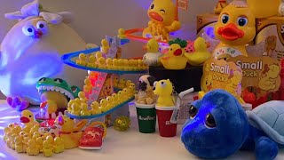 LET’S PLAY asmr asmrsounds asmrvideo satisfying relaxing toys duck cute play show shorts [upl. by Dyl]