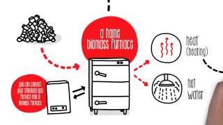 How does biomass work  Sustainability [upl. by Oflunra]