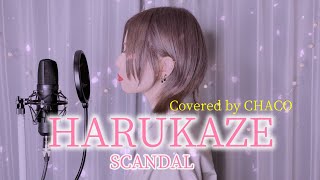 HARUKAZE  SCANDAL【BLEACHアニメ死神代行消失編OP】歌ってみた【CHACOカバー】毎日投稿1日目 [upl. by Han911]