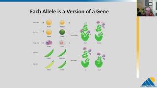 BIOL201 Ch111  The Process of Meiosis [upl. by Toll605]