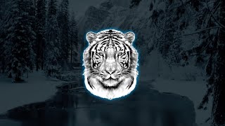 Simba La Rue Type Beat 2024 quotWhite Tigerquot ProdVaklinN [upl. by Rossi321]