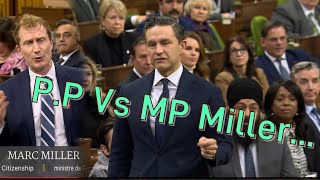 Breaking News Conservative Leader VS MP Miller Over Immigration amp Insults Galore [upl. by Rialb]