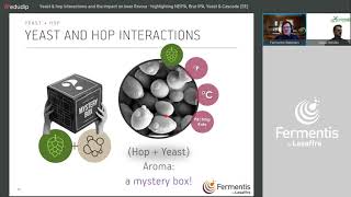 Yeast amp hop interactions and the impact on beer flavour Brut IPA NEIPA  Fermentis webinar [upl. by Channing]