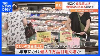 食品値上げ 年末にかけて最大1万品目近く増える見通し “食費切り詰め”も家計への負担重く｜TBS NEWS DIG [upl. by Ailecra]