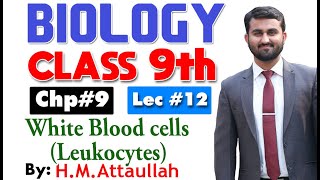 White blood cell  leukocytes  Smart syllabus  Chapter 9  9th class Biology  Lec 12 [upl. by Ahsinac]