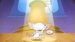 pinky and the brainbrainstem [upl. by Manuel]