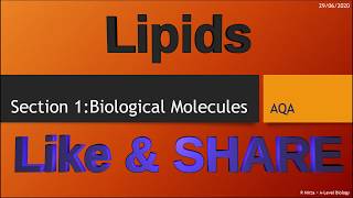 Lipids  Phospholipids Trigylcerides amp Test for lipids section 1 Biological molecules ALevel [upl. by Ahsimaj101]