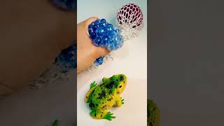 squishy balls vs frogtrendingviralshortytshort [upl. by Kam654]