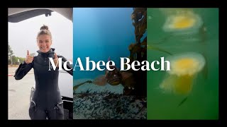 SCUBA DIVING  McAbee Beach Monterey [upl. by Minsk345]