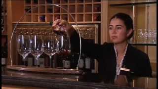 Discover The Wines of Chile Part 1 of 2 [upl. by Nnalyrehc]